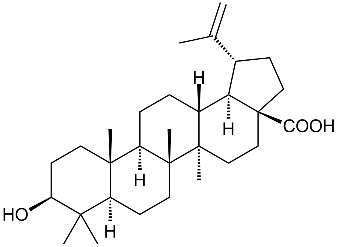 Betulinic acid  Chemical Structure