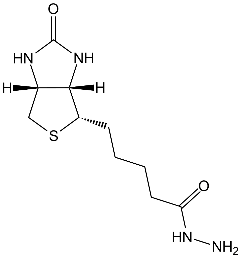 Biotin Hydrazide Chemical Structure