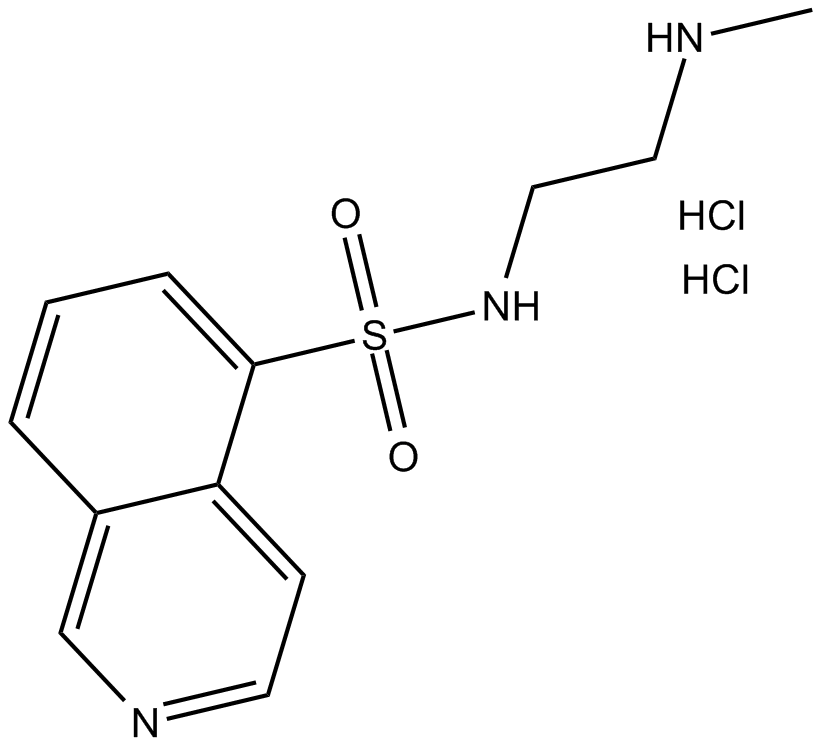 H-8 (hydrochloride)  Chemical Structure