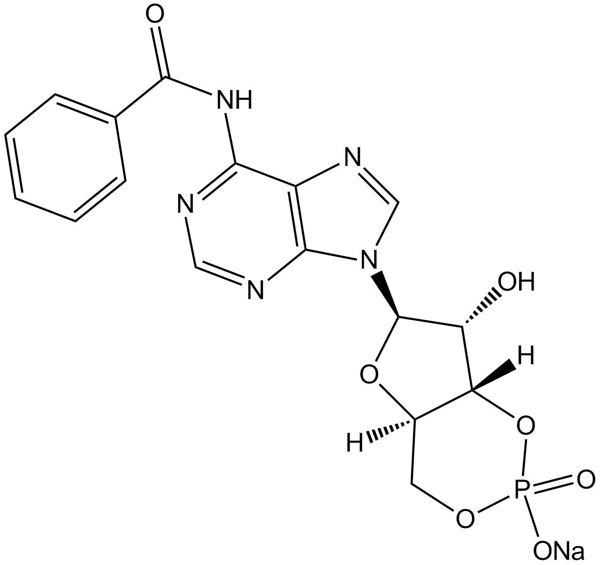 6-Bnz-cAMP sodium salt Chemical Structure