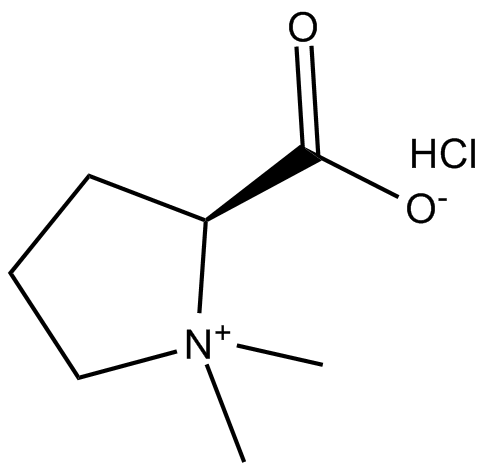 Stachydrine (hydrochloride)  Chemical Structure