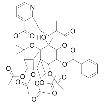 Wilforine Chemical Structure