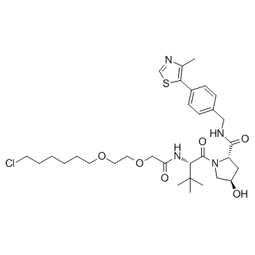 E3 ligase Ligand-Linker Conjugates 10  Chemical Structure