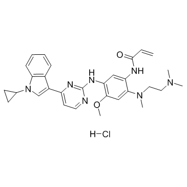 HS-10296 hydrochloride  Chemical Structure