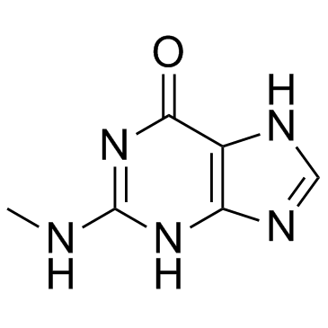 2-(Methylamino)-1H-purin-6(7H)-one (N2-methylguanine) Chemical Structure