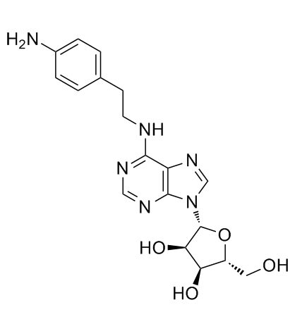 APNEA (N6-[2-(4-Aminophenyl)ethyl]adenosine)  Chemical Structure