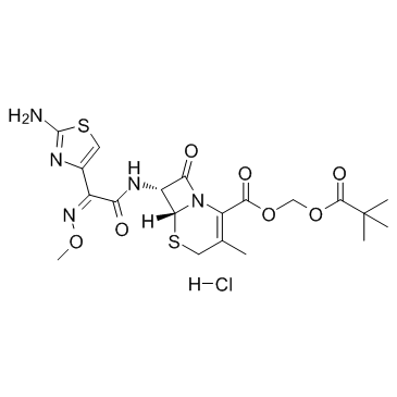 Cefetamet pivoxil hydrochloride (Ro 15-8075) Chemical Structure