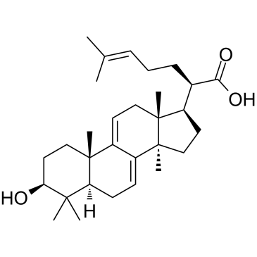 3-Dehydrotrametenolic acid  Chemical Structure