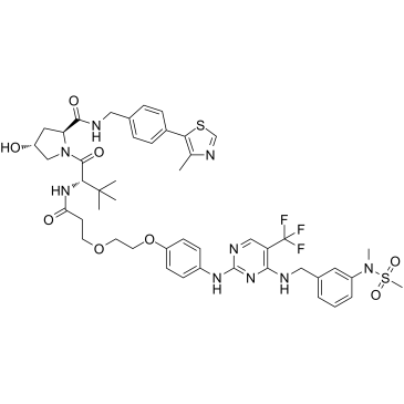 PROTAC FAK degrader 1  Chemical Structure