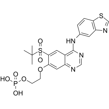 GSK2983559 free acid  Chemical Structure