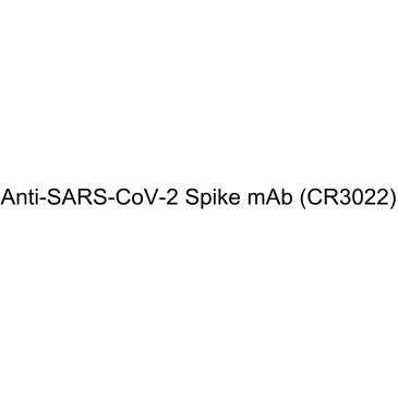 Anti-SARS-CoV-2 Spike mAb (CR3022)  Chemical Structure