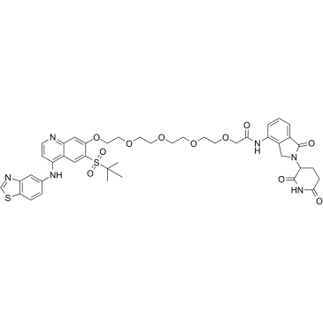 PROTAC RIPK degrader-6  Chemical Structure