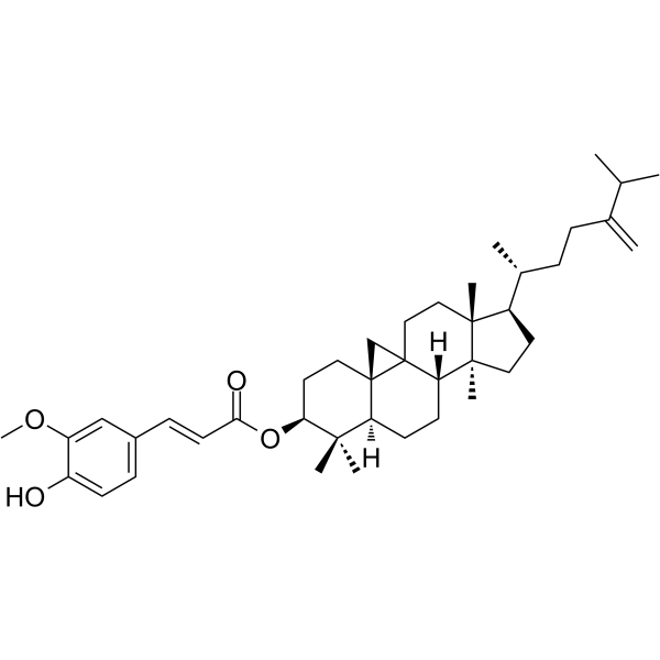 24-Methylenecycloartanyl ferulate  Chemical Structure