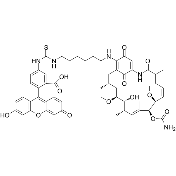 Geldanamycin-FITC  Chemical Structure