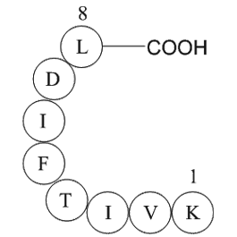 GTP binding protein 1 fragment [Multiple species]  Chemical Structure