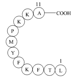 Interleukin II (60-70) Chemical Structure