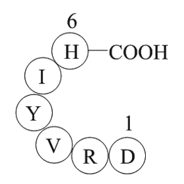 Angiotensin 1/2 (1-6)  Chemical Structure