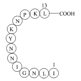 β-Interleukin II (44-56) Chemical Structure