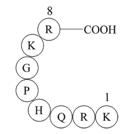 TRH Precursor Peptide  Chemical Structure