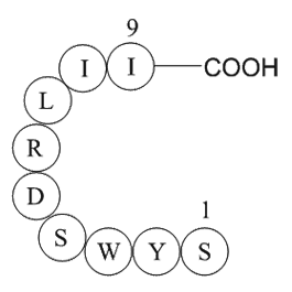 signal transducer and activator of transcription 6 fragment  Chemical Structure