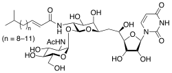 105-1