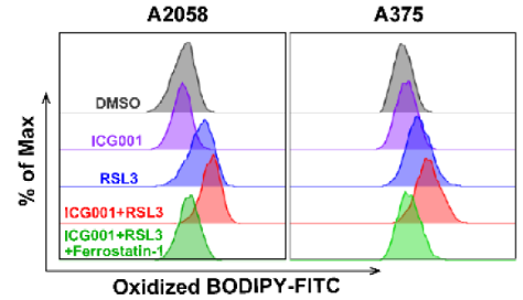 Solutions of High-performance Molecular Probes-2