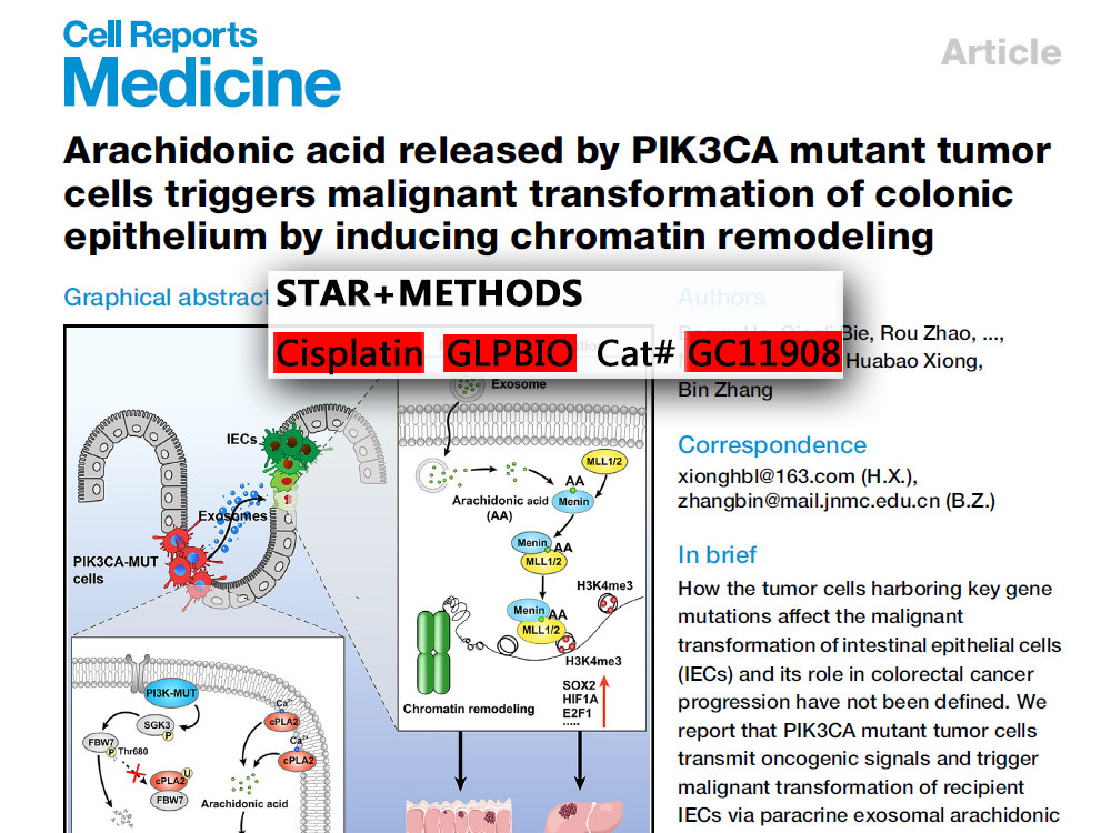 Cisplatin | Inhibits DNA synthesis | CAS NO.:15663-27-1 | GlpBio