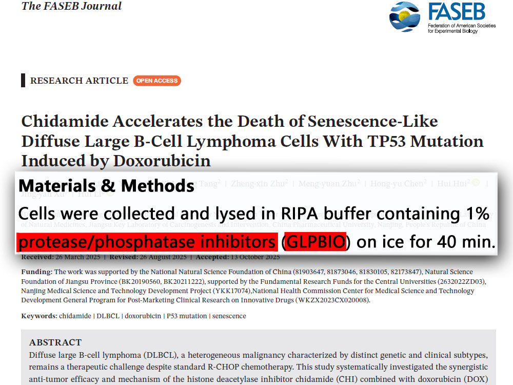 Protease and Phosphatase Inhibitor Cocktail (EDTA plus, 100X in ddH2O)