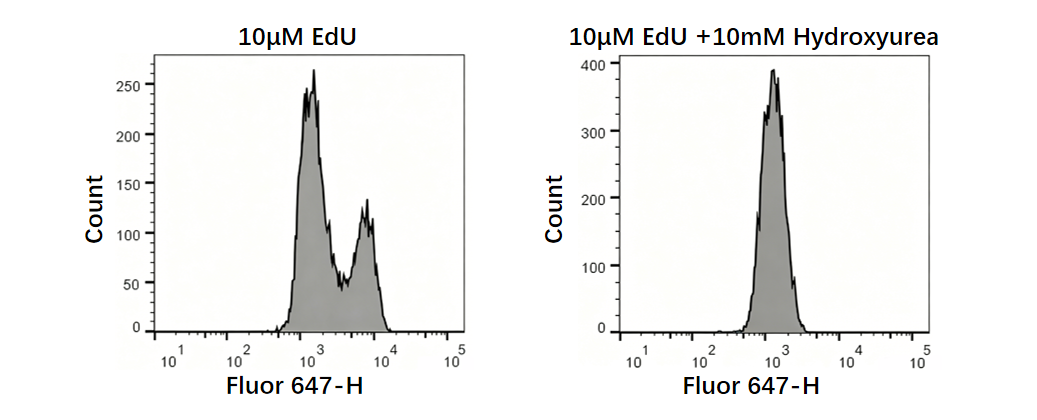 EdU-647 Cell Proliferation Detection Kit
