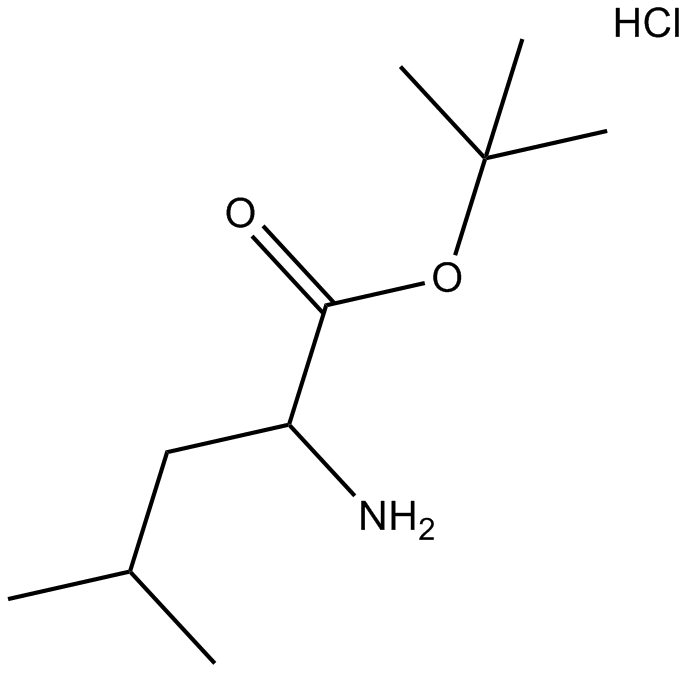 H-D-Leu-OtBu·HCl  Chemical Structure