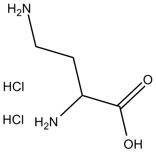 H-DL-Dab?2HCl 化学構造