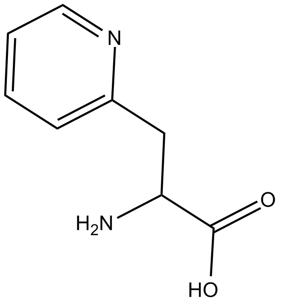 3-(2-Pyridyl)-D-Alanine 化学構造