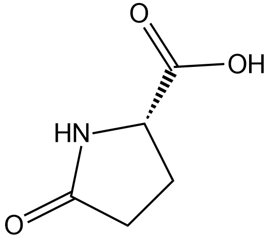 H-Pyr-OH Chemische Struktur