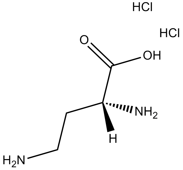H-D-Dab-OH?2HCl Chemische Struktur