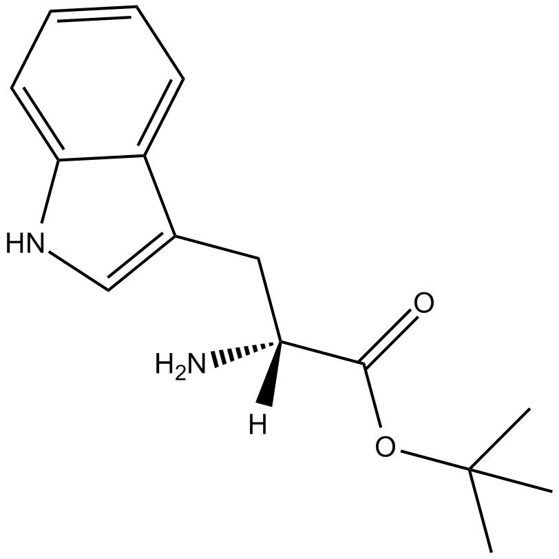 H-D-Trp-OtBu Chemical Structure