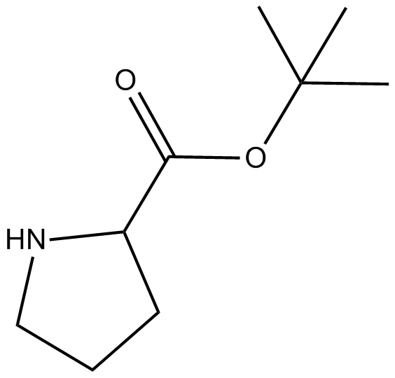 H-Pro-OtBu 化学構造