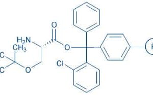 H-Ser(tBu)-2-chlorotrityl resin (100-200 mesh, 0.50-0.90 mmol/g)  Chemical Structure