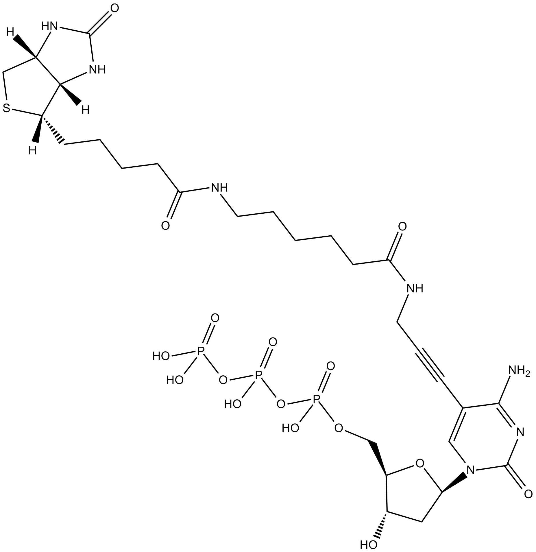 Biotin-11-dCTP  Chemical Structure