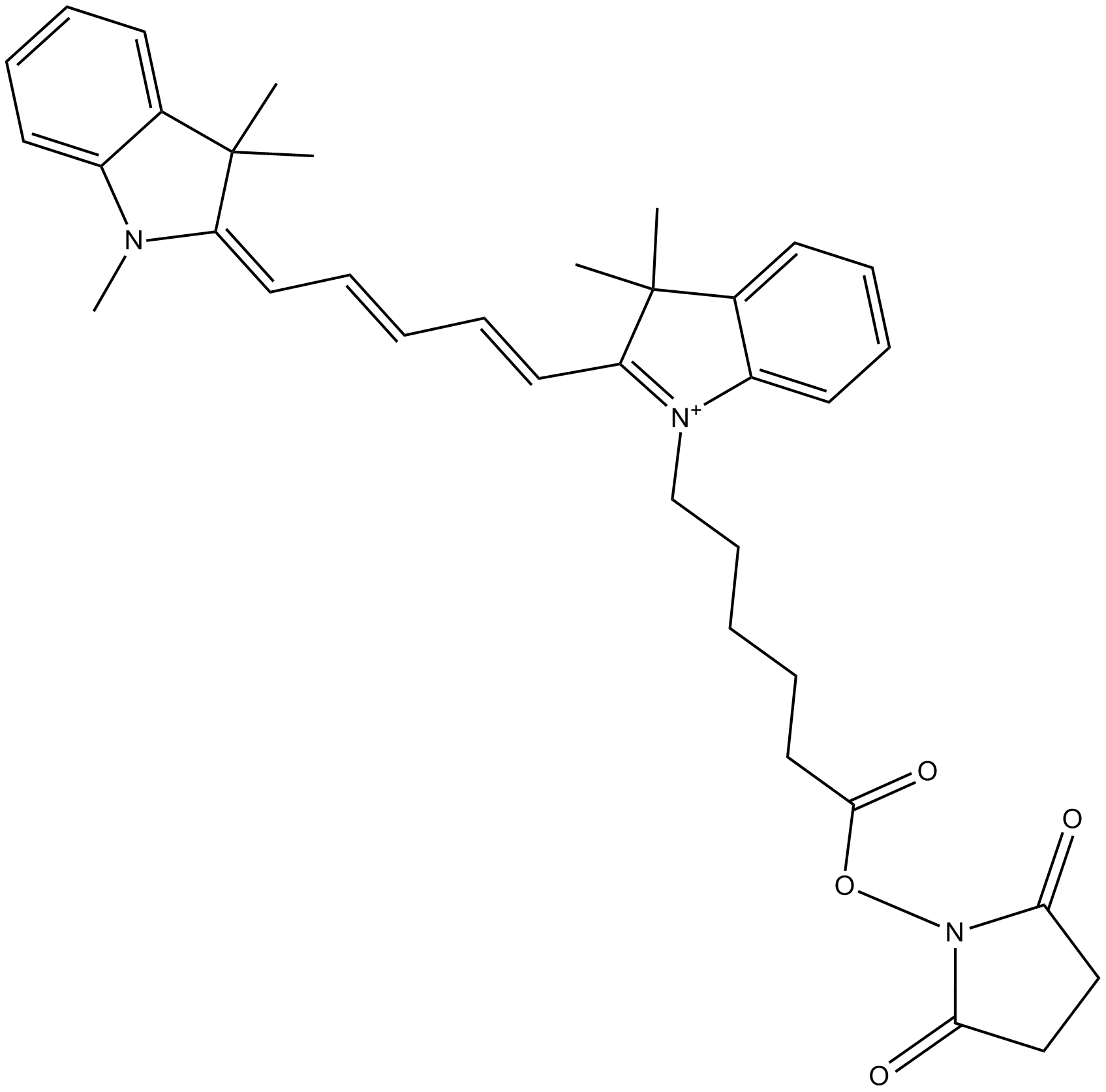 Cy5 NHS ester (non-sulfonated)  Chemical Structure
