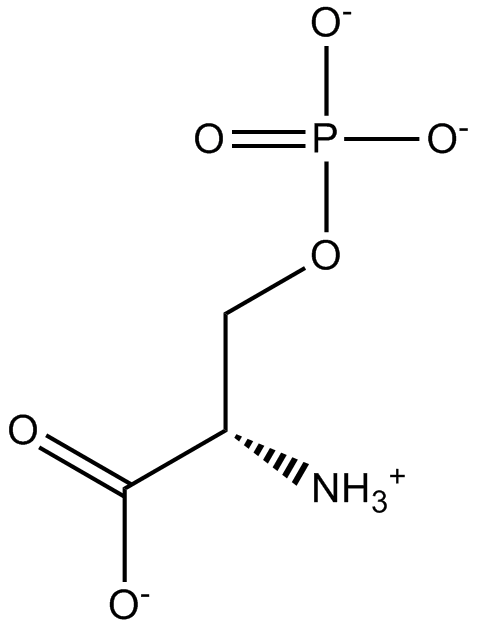 O-Phospho-L-serine 化学構造