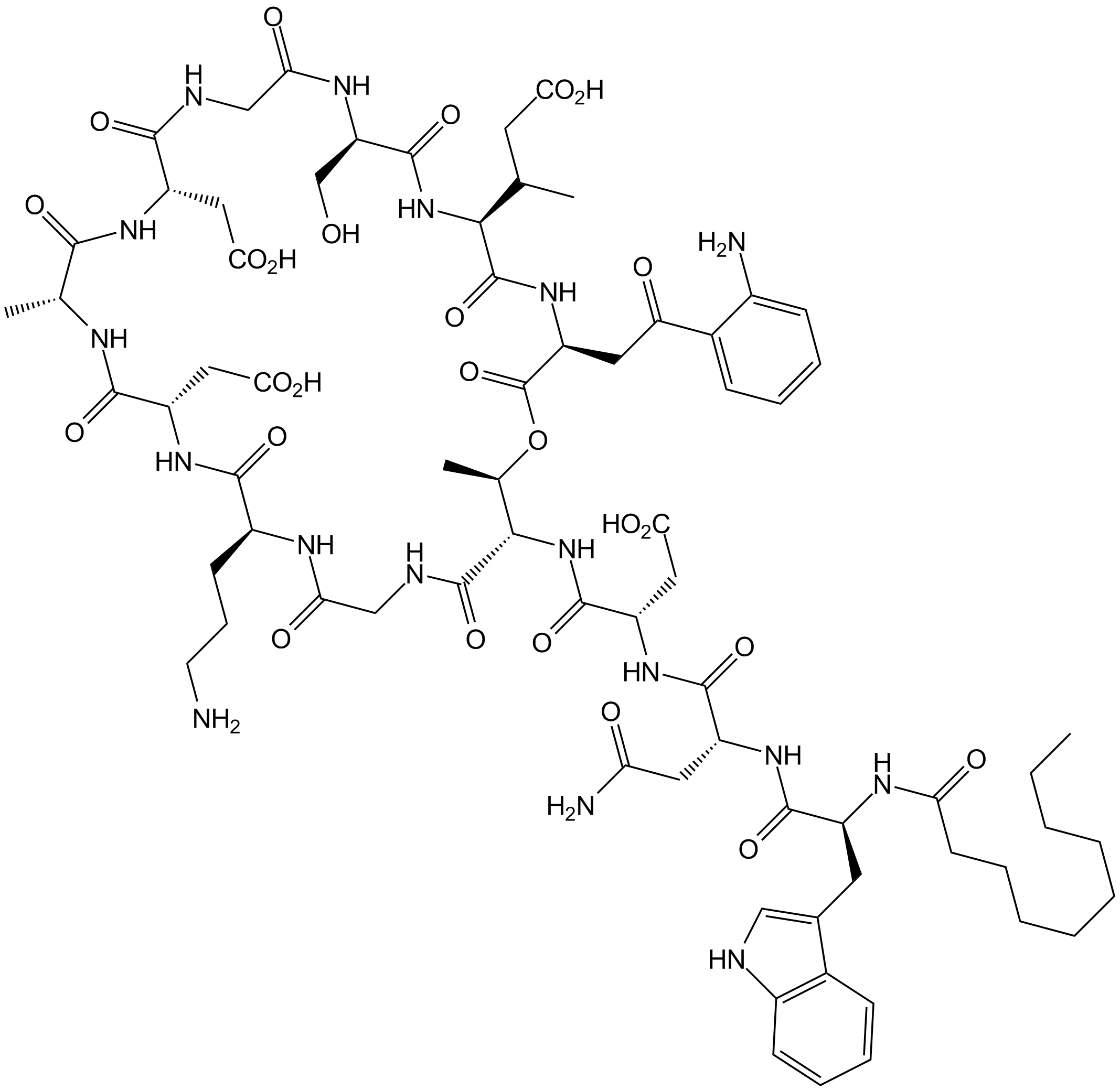 Daptomycin التركيب الكيميائي