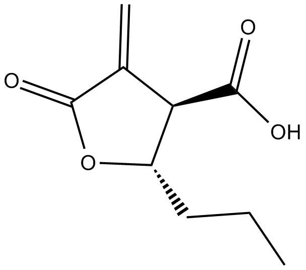 Butyrolactone 3 化学構造