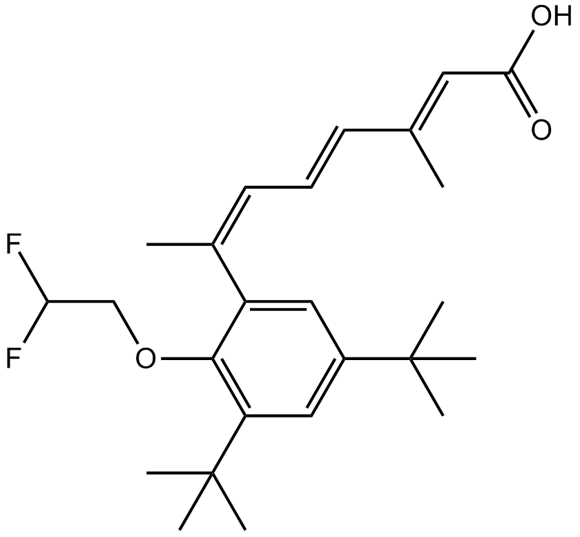 LG 101506 化学構造