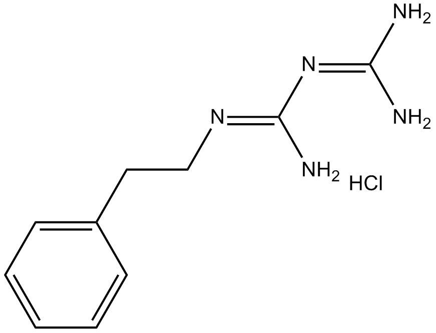 Phenformin HCl 化学構造