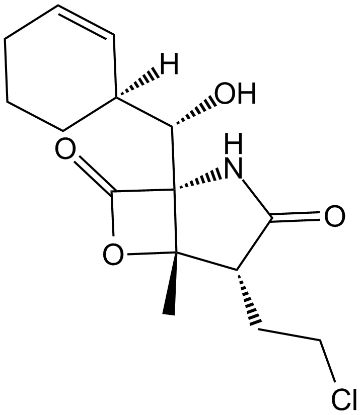 Salinosporamide A (NPI-0052, Marizomib)  Chemical Structure