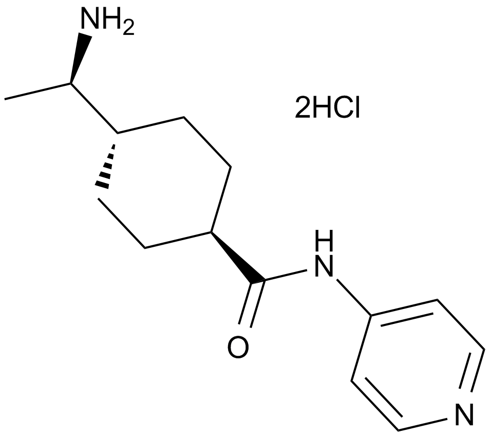 Y-27632 dihydrochloride  Chemical Structure