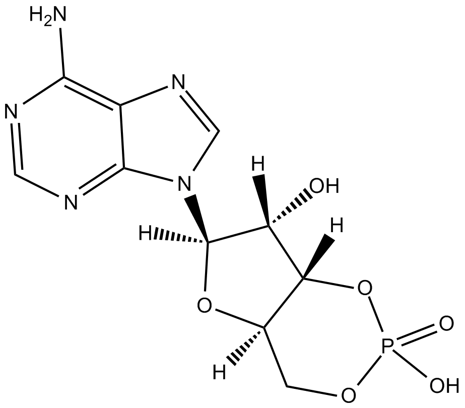 Adenosine 3-5-cyclic monophosphate 化学構造