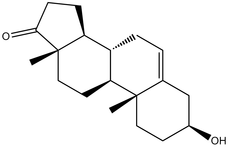 Dehydroepiandrosterone (DHEA) Chemical Structure