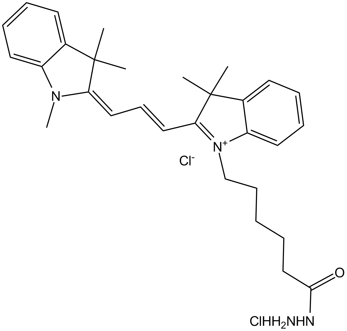 Cy3 hydrazide (non-sulfonated) 化学構造