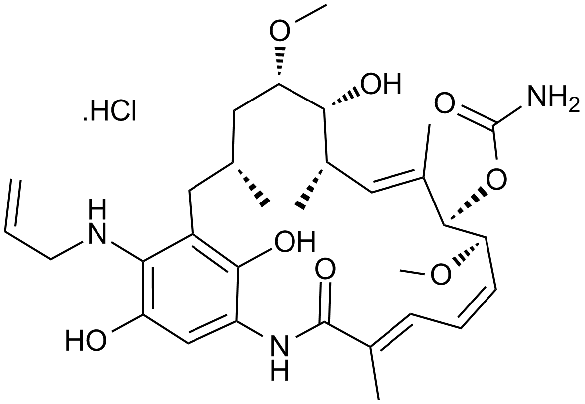 IPI-504 (Retaspimycin hydrochloride) Chemical Structure